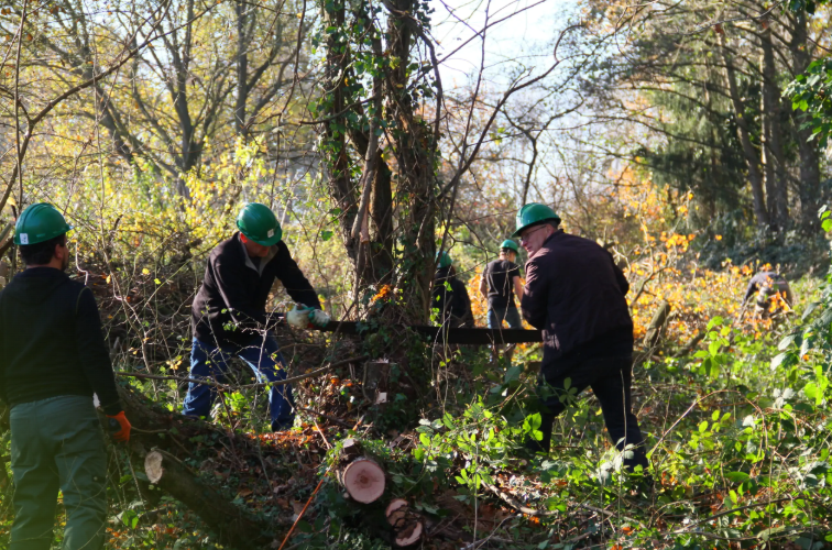 Hakhoutbrigade heerlen